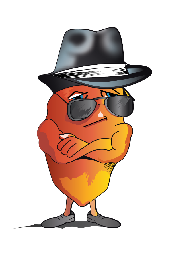 Cartoon character Rico with a black hat, sunglasses, and a serious expression on a white background