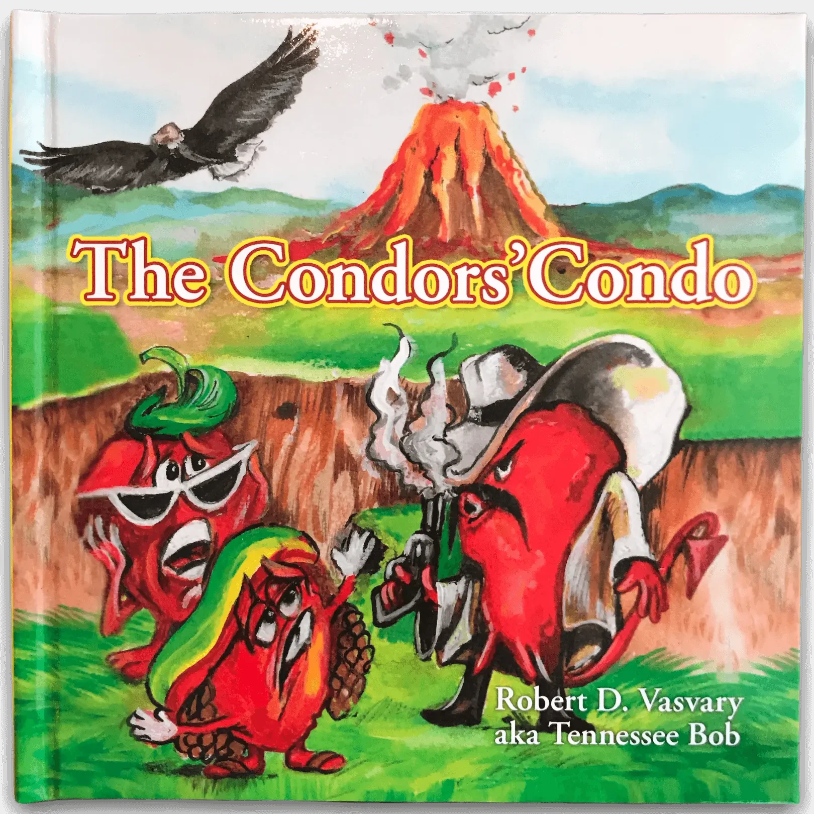 Book cover of 'The Condors' Condo' with cartoon condors and a volcano in the background